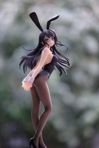 photo of Sakurajima Mai