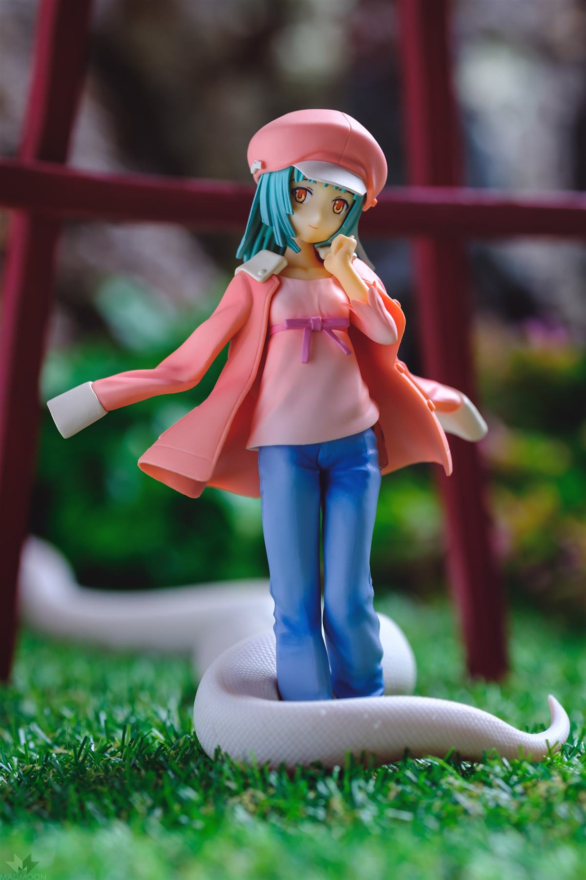 photo of Sengoku Nadeko