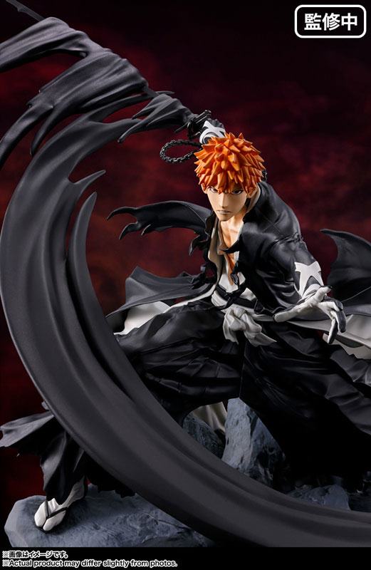 photo of Ichigo Kurosaki
