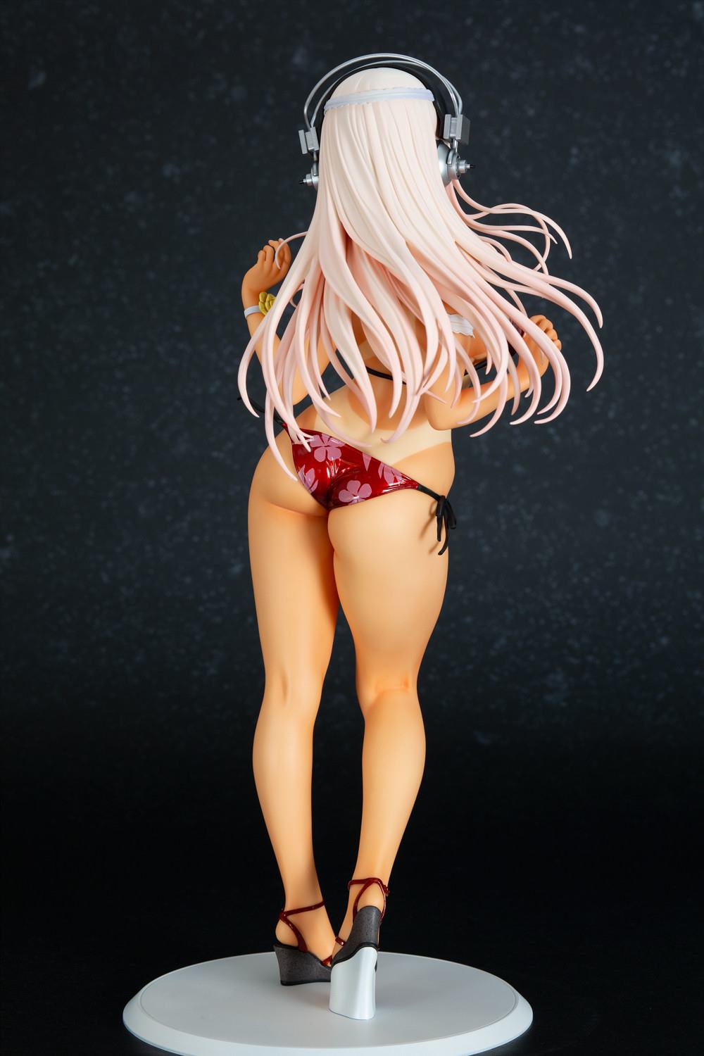 photo of Sonico  Orchid Seed