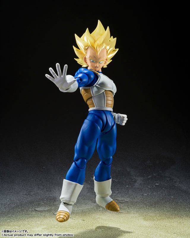 photo of Vegeta