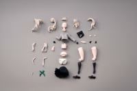 photo of Fuyusaka Iori