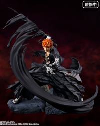 photo of Ichigo Kurosaki