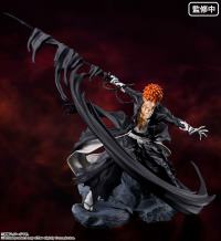 photo of Ichigo Kurosaki