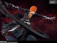 photo of Ichigo Kurosaki
