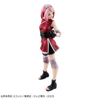 photo of Haruno Sakura