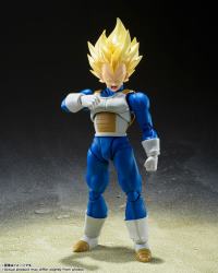 photo of Vegeta