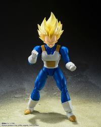 photo of Vegeta