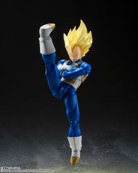 photo of Vegeta