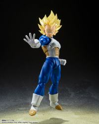 photo of Vegeta