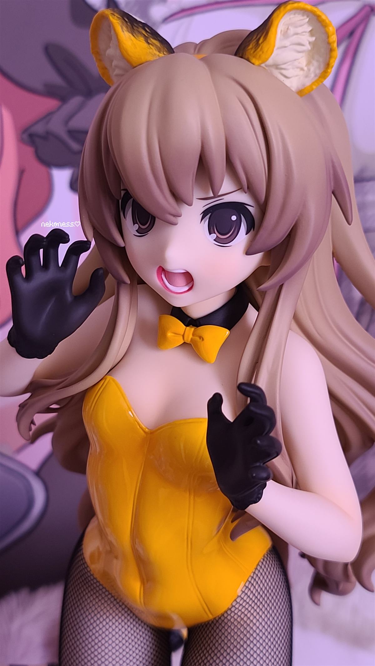 photo of Aisaka Taiga