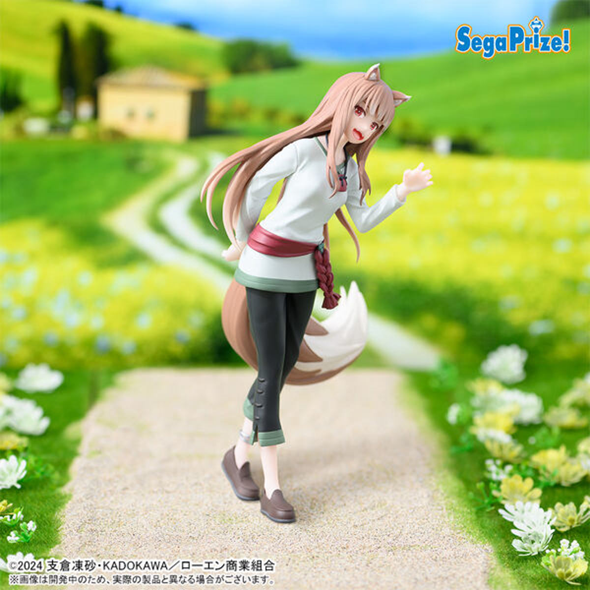 photo of Holo